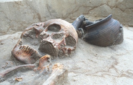 Click to zoom the picture.